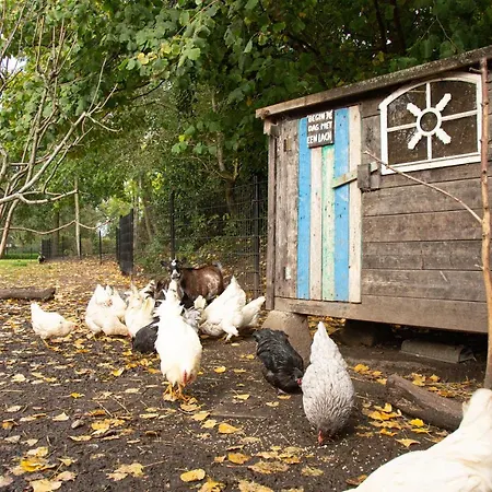 Bed & Breakfast De Appelgaard