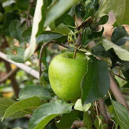 De Appelgaard Barneveld