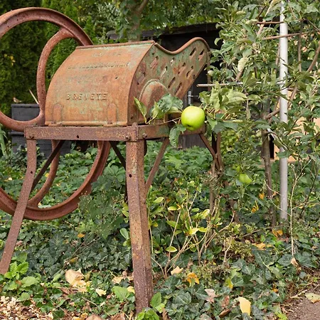 De Appelgaard Bed & Breakfast 3*