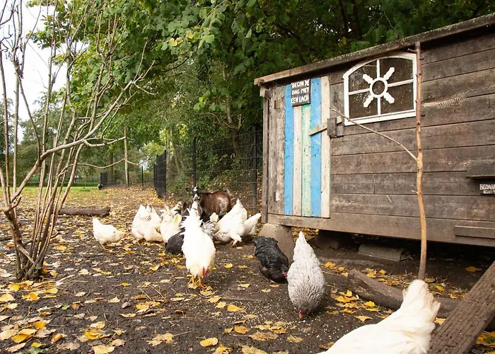 Bed & Breakfast De Appelgaard