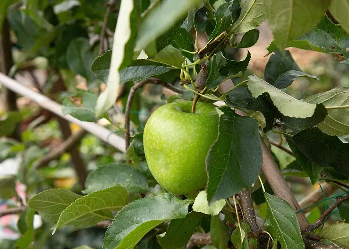 De Appelgaard Barneveld