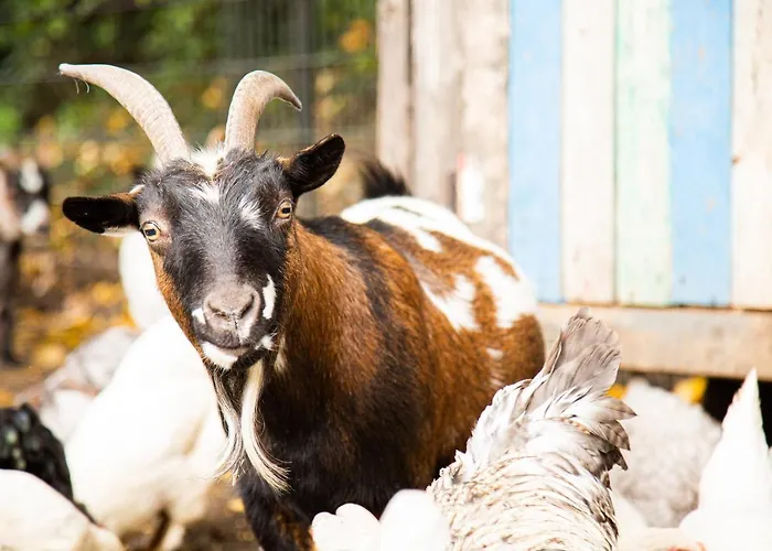 De Appelgaard Barneveld